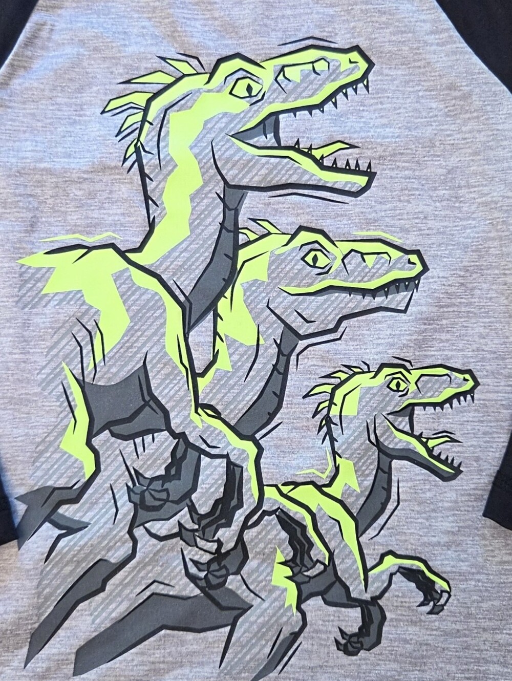 Dino Dinosaur Velociraptor LS Shirt Activewear Boys Size 2T